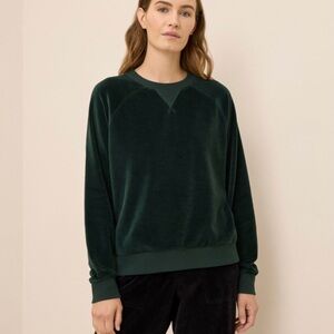 Pact organic velour sweatshirt in dark forest M